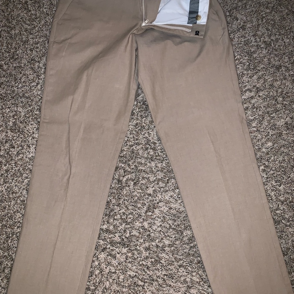 Express dress pants